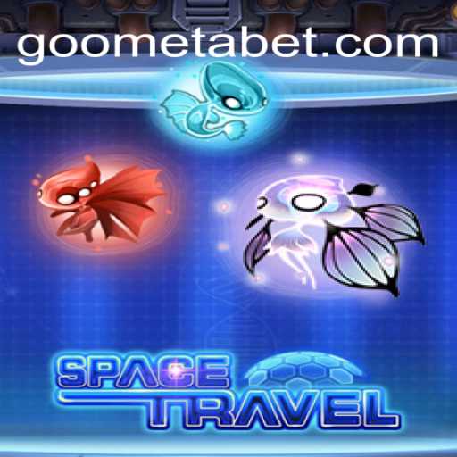 Exploring the Adventures of SpaceTravel